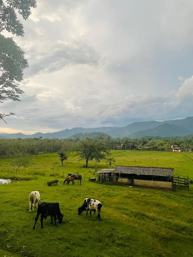 Aldeia De Camburi Hotel Камбури Екстериор снимка